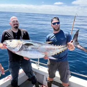 12 Hour Trip - Offshore Bluefin Tuna