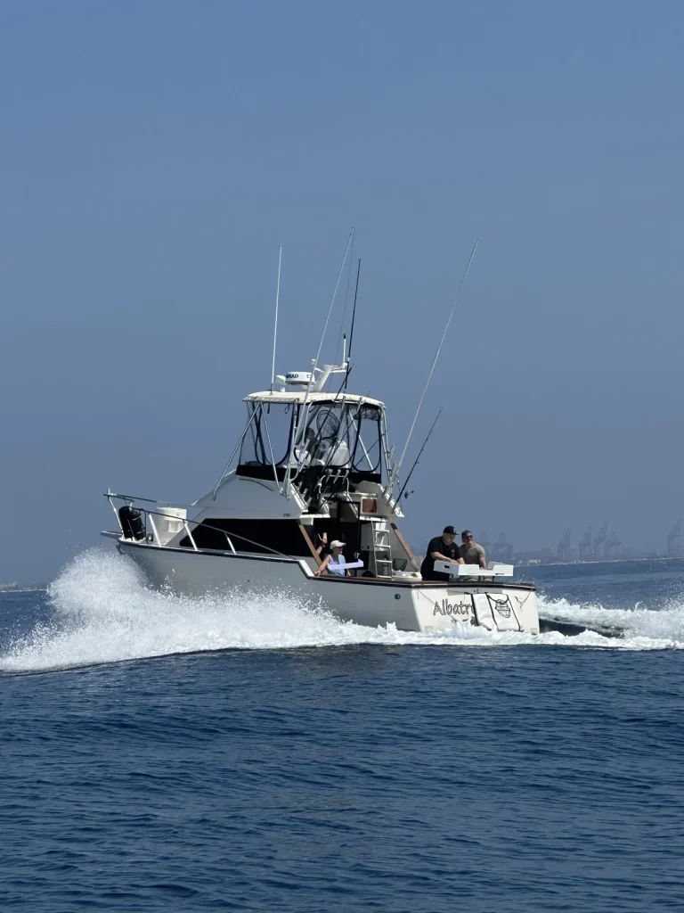8 Hour Trip - Catalina Fishing